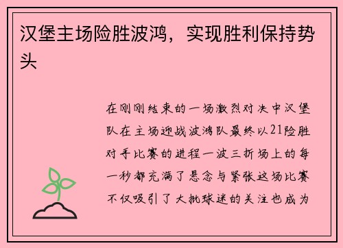 汉堡主场险胜波鸿，实现胜利保持势头